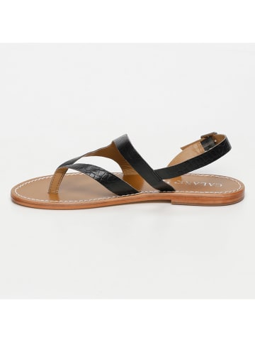 CALANK Leder-Zehensandalen in Schwarz