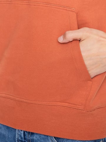 Calvin Klein Hoodie in Orange