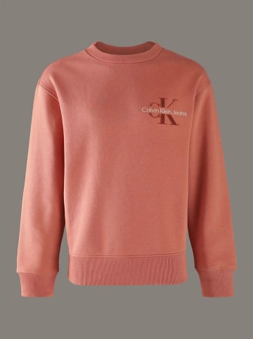 Calvin Klein Sweatshirt in Koralle
