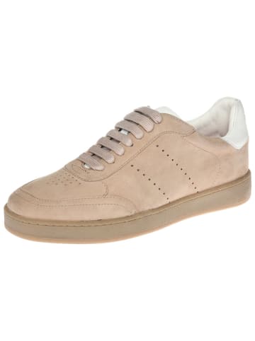 Cinque Leder-Sneakers "Lucia" in Beige
