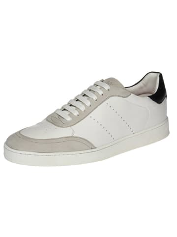 Cinque Leder-Sneakers "Vincenzo" in Weiß