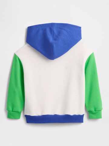 GAP Hoodie in Grün/ Blau/ Weiß