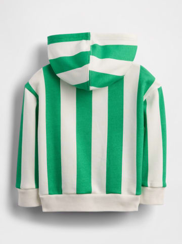 GAP Bluza w kolorze zielono-kremowym