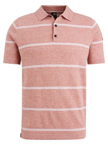 Vanguard Poloshirt in Rosa