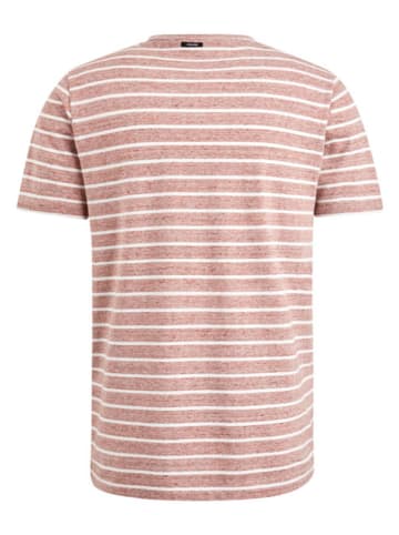 Vanguard Shirt in Rosa