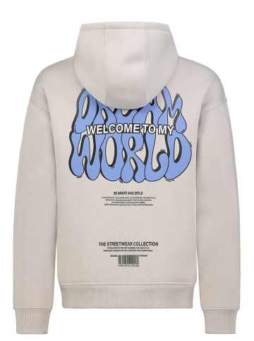 Authentic Style Bluza w kolorze szarobrązowym
