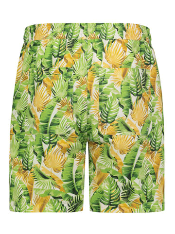 Sublevel Badeshorts in Grün
