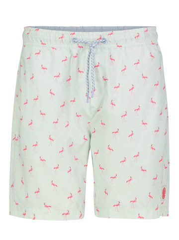 Authentic Style Badeshorts in Grün
