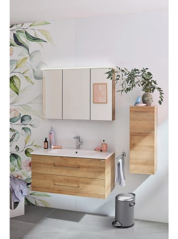 Fackelmann Pedal-Abfallsammler "Paris" in Grau - 3 l
