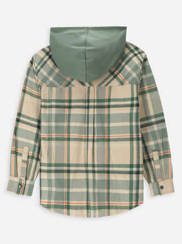 Coccodrillo Blouse groen/beige/rood