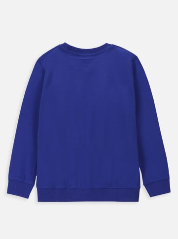 Coccodrillo Sweatshirt blauw