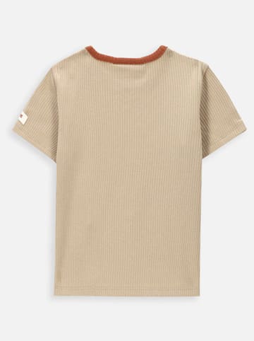 Coccodrillo Shirt in Hellbraun