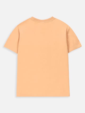 Coccodrillo Shirt in Orange