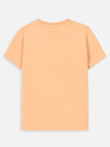 Coccodrillo Shirt in Orange