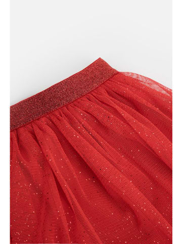 Coccodrillo Rock in Rot