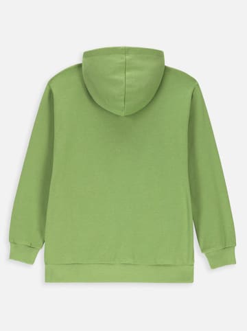 Lemon explore Hoodie groen