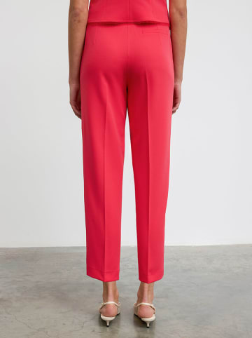 BGN Hose in Pink