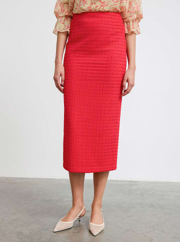 BGN Rok roze