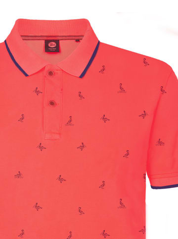 Petrol Poloshirt in Rot