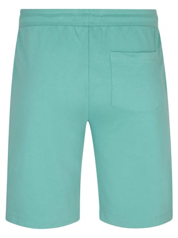 Petrol Sweatshorts in Türkis