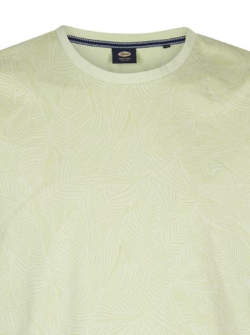Petrol Shirt in Grün