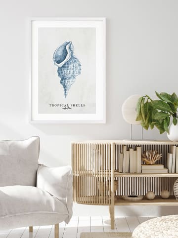Ars Longa Ingelijste kunstdruk "Tropical shell collection no. 1" - (L)70 x (B)50 cm