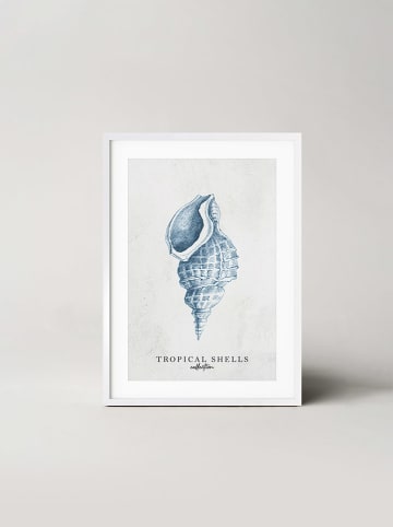 Ars Longa Ingelijste kunstdruk "Tropical shell collection no. 1" - (L)70 x (B)50 cm