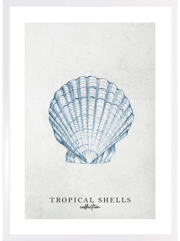 Ars Longa Ingelijste kunstdruk "Tropical shell collection no. 2" - (L)70 x (B)50 cm