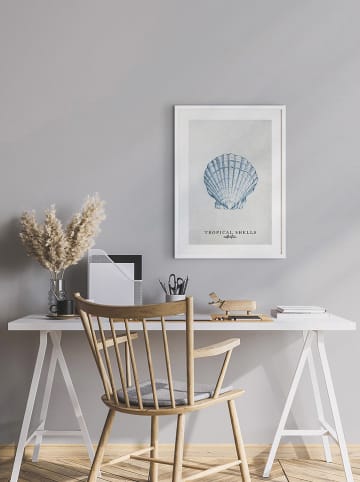 Ars Longa Ingelijste kunstdruk "Tropical shell collection no. 2" - (L)70 x (B)50 cm