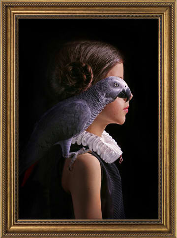 Ars Longa Gerahmter Kunstdruck "Girl Parrot"