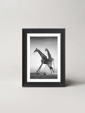 Ars Longa Gerahmter Kunstdruck "Running Giraffes" - (L)70 x (B)50 cm