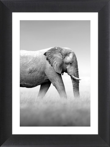 Ars Longa WALKING ELEPHANT - (L)70 x (B)50 cm