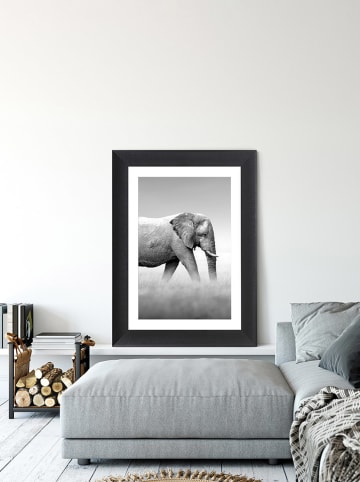 Ars Longa WALKING ELEPHANT - (L)70 x (B)50 cm