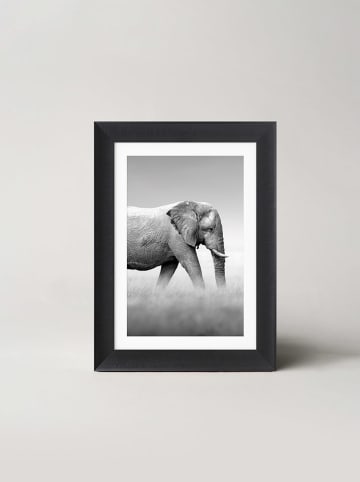 Ars Longa WALKING ELEPHANT - (L)70 x (B)50 cm