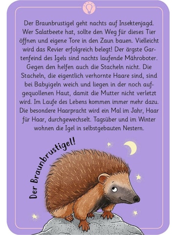 moses. Kartenspiel "50 wundersame Tierrätsel - Tiere der Nacht" - ab 7 Jahren
