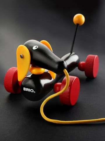 Brio Jamnik do ciągnięcia - 12 m+