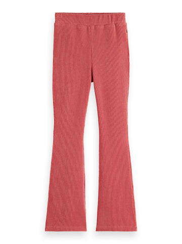 Scotch & Soda Leggings in Koralle