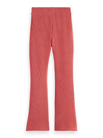 Scotch & Soda Leggings in Koralle
