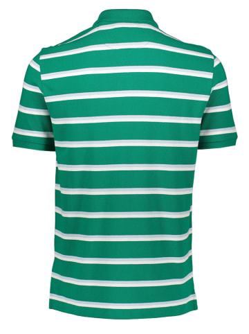 Gant Poloshurt in Grün/ Weiß