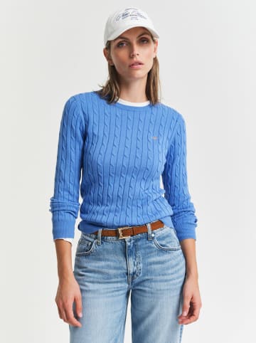 Gant Pullover in Blau