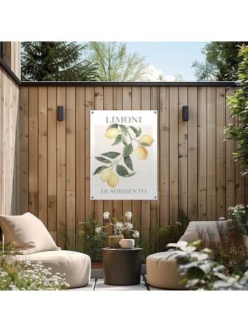 Orangewallz Outdoor-Kunstdruck "Limoni Di Sorrento"