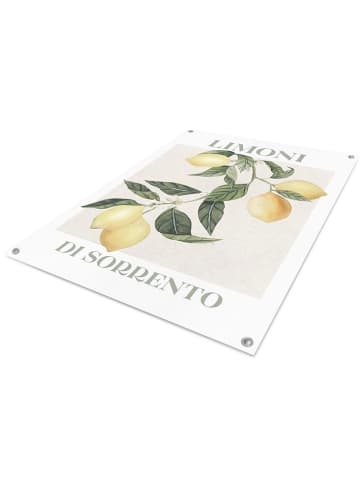 Orangewallz Outdoor-Kunstdruck "Limoni Di Sorrento"