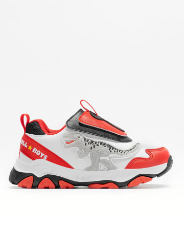 Bull Boys Sneakers "T-Rex Scarpa"  in Rot