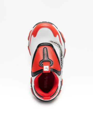 Bull Boys Sneakers "T-Rex Scarpa"  in Rot