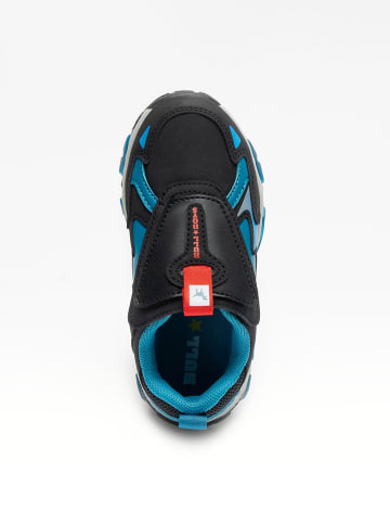 Bull Boys Sneakers "T-Rex Scarpa"  in Schwarz