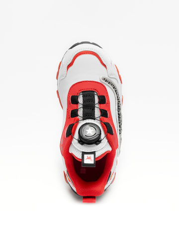 Bull Boys Sneakers "T-Rex Scarpa"  in Rot