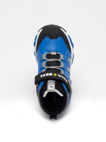 Bull Boys Leder-Sneakers "Velociraptor" in Blau