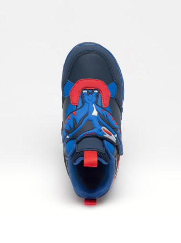 Bull Boys Leder-Sneakers "Pterodattilo" in Dunkelblau