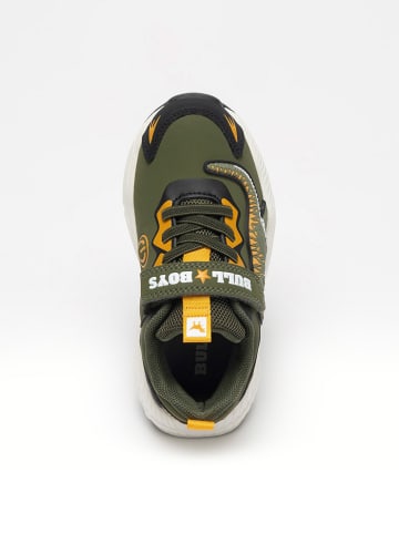 Bull Boys Sneakers "T-Rex Scarpa"  in Khaki