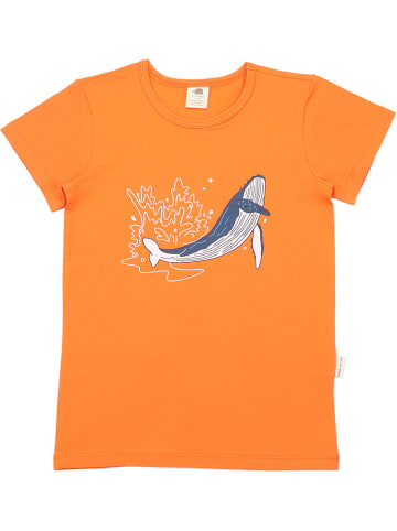 Walkiddy Shirt in Orange